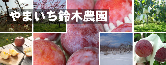 やまいち鈴木農園